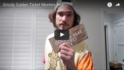 Golden Grizzly Ticket Mystery Boxes Are Back Friday 11/18/16