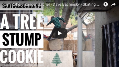 Dave Bachinsky - Skating A Tree Stump Full Edit